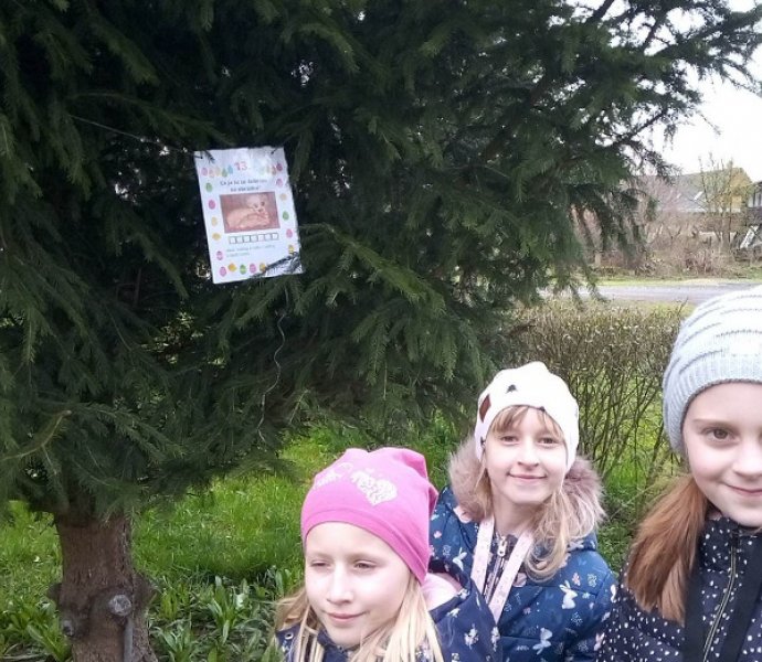 Obrázek galerie  16469