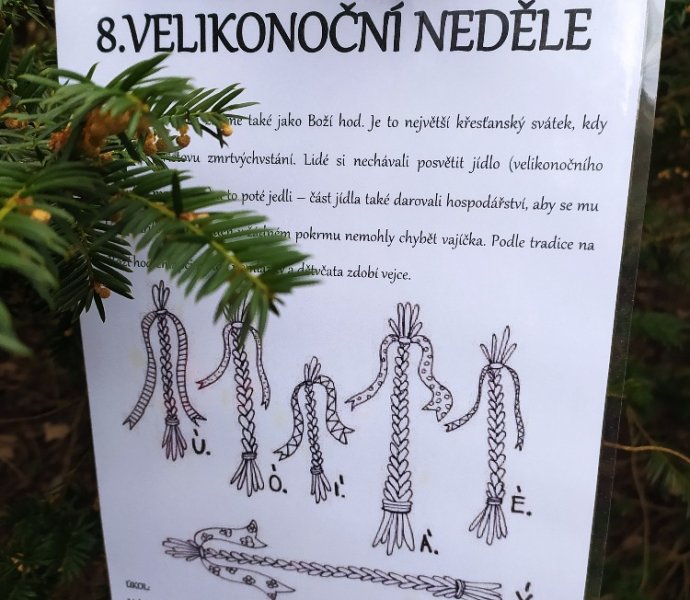 Obrázek galerie  16517