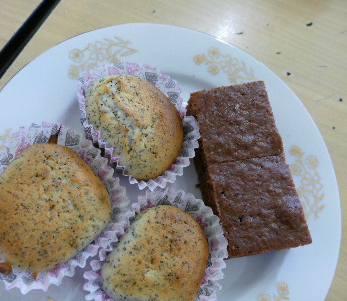 Obrázek galerie  16560