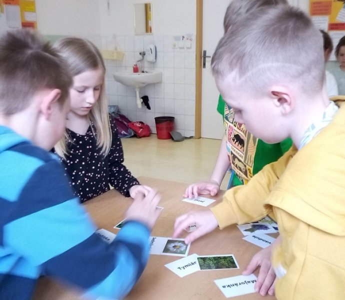 Obrázek galerie  16715