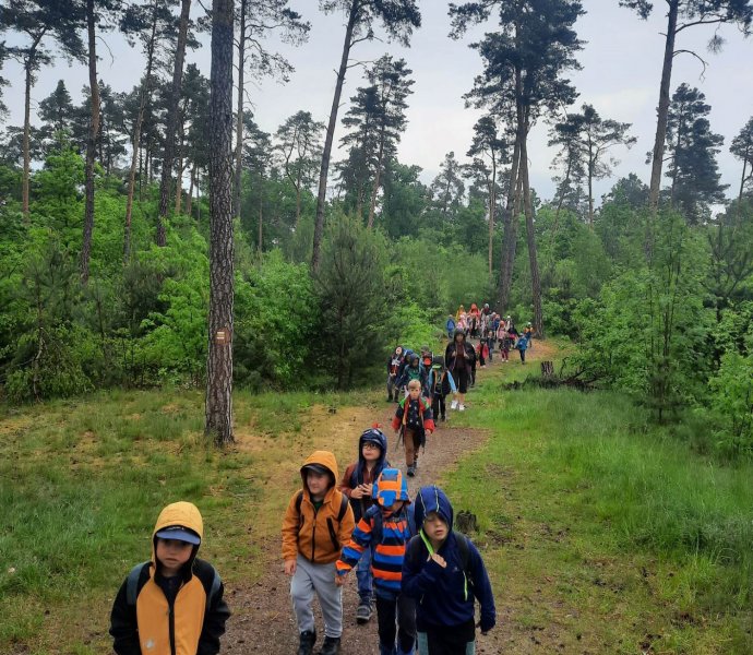 Obrázek galerie  18679