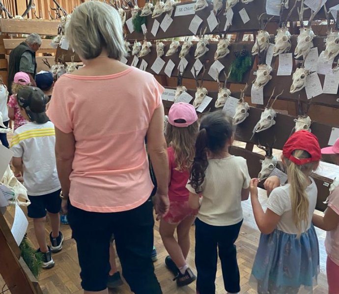 Obrázek galerie  18740