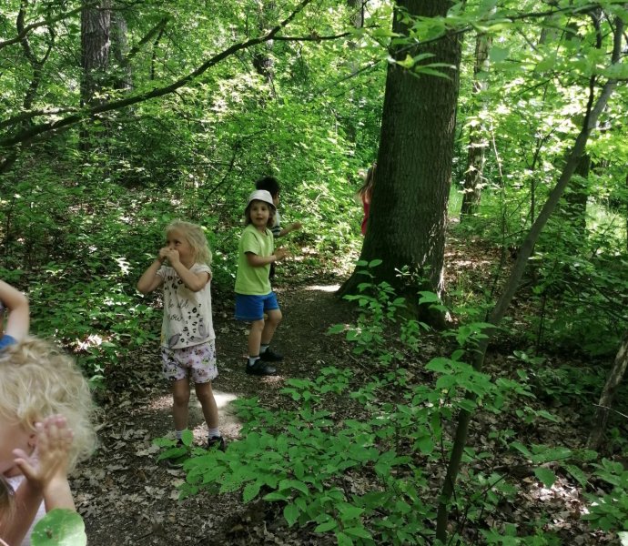 Obrázek galerie  18798