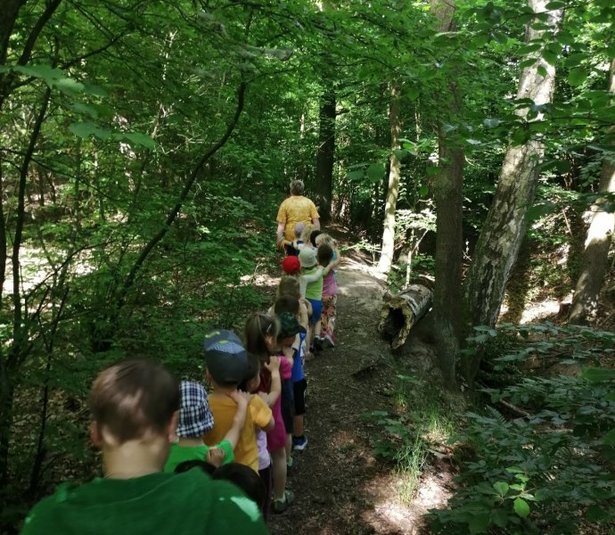 Obrázek galerie  18805