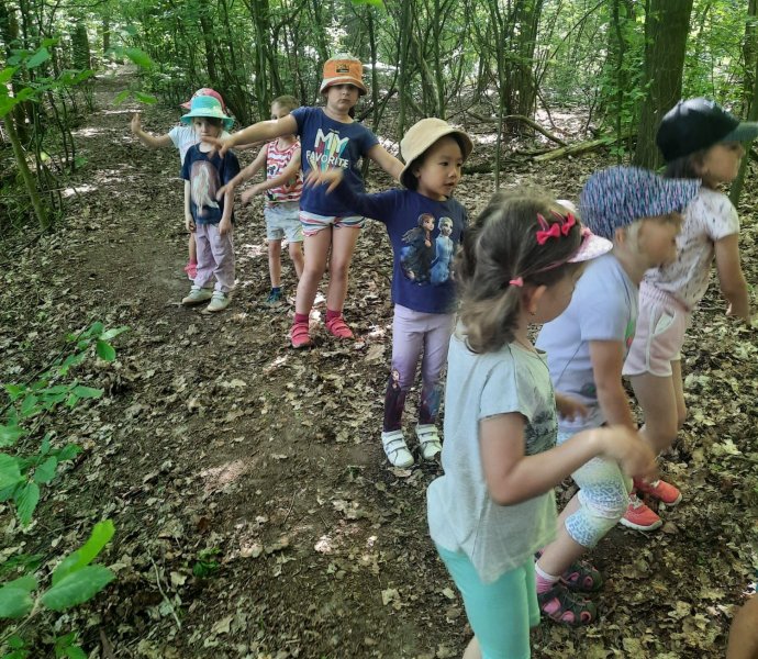 Obrázek galerie  18883