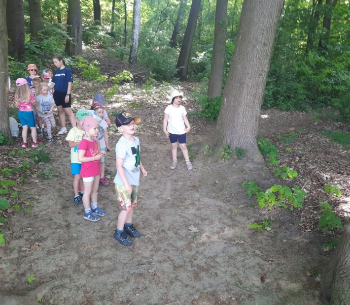 Obrázek galerie  18921