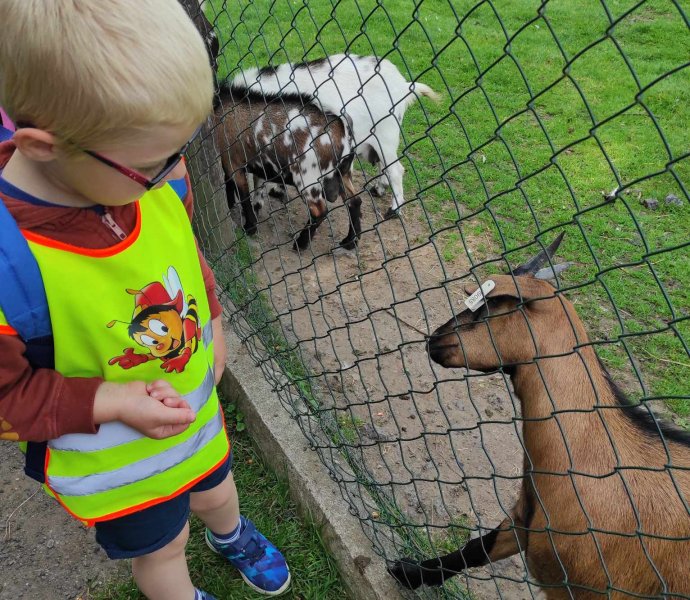 Obrázek galerie  19216