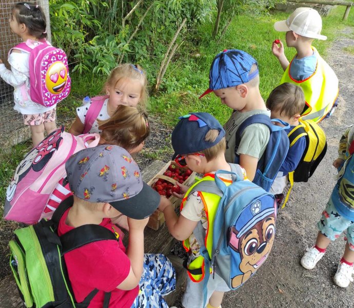 Obrázek galerie  19232