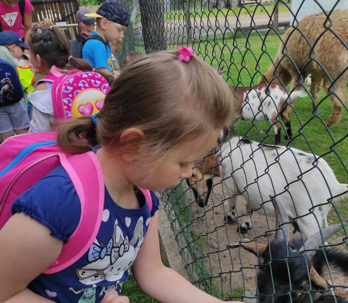 Obrázek galerie  19233