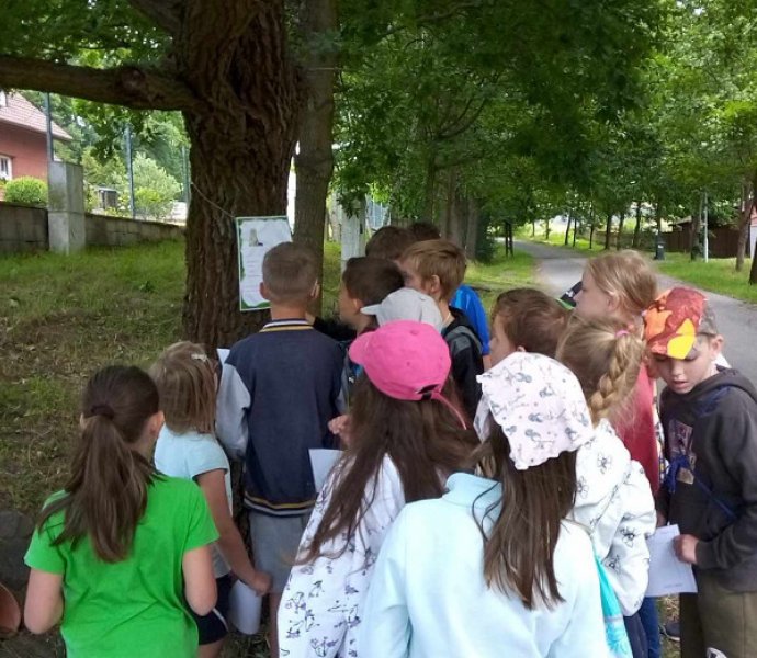 Obrázek galerie  19399