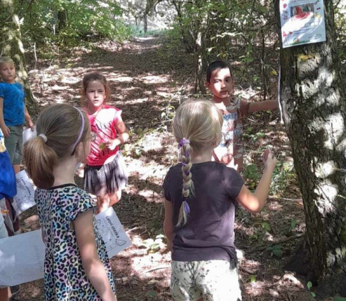 Obrázek galerie  19655