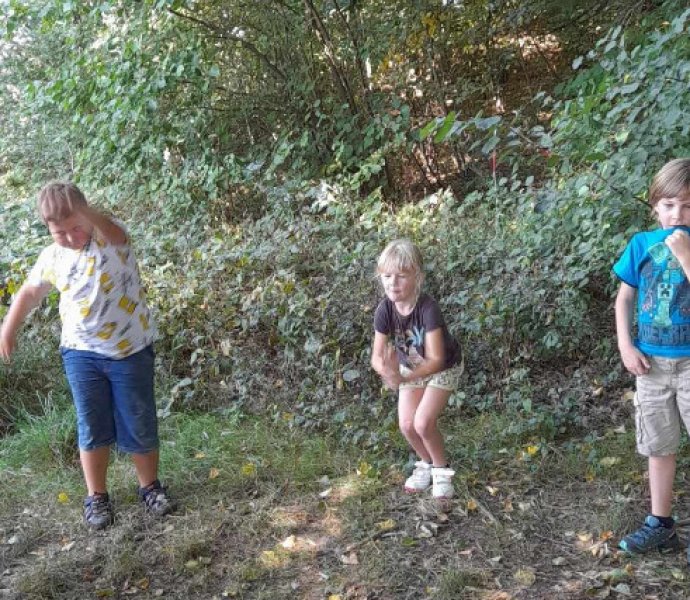 Obrázek galerie  19657