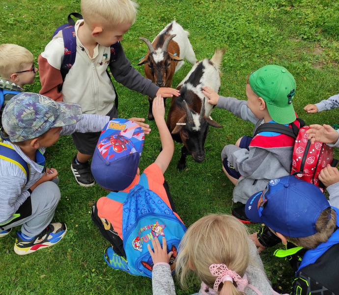 Obrázek galerie  19709