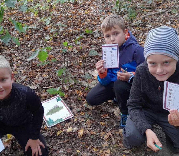 Obrázek galerie  19872