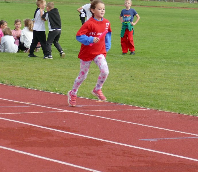 Obrázek galerie  19906