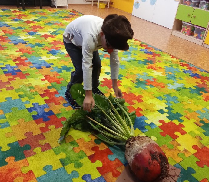 Obrázek galerie  20306