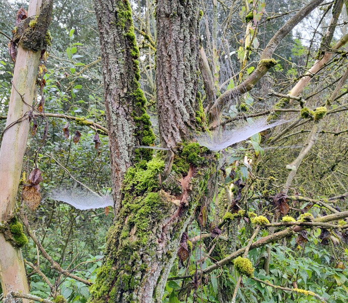 Obrázek galerie  20595