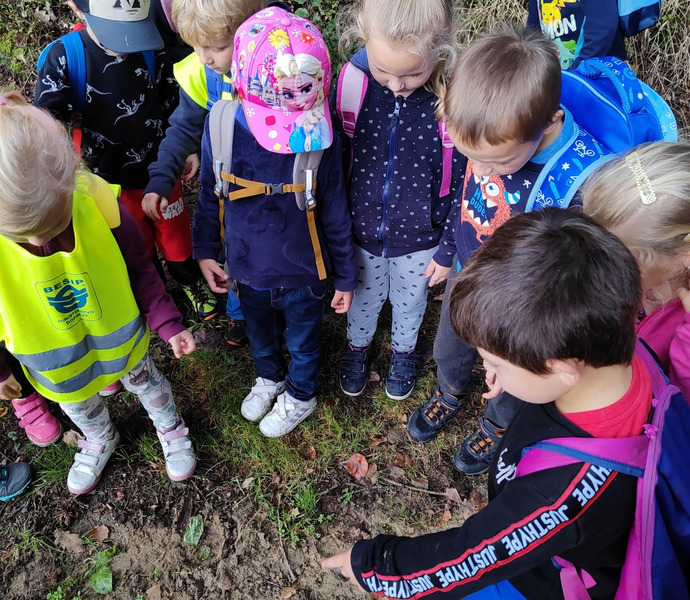 Obrázek galerie  20612