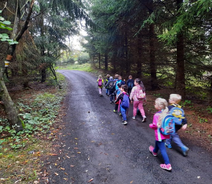 Obrázek galerie  20629