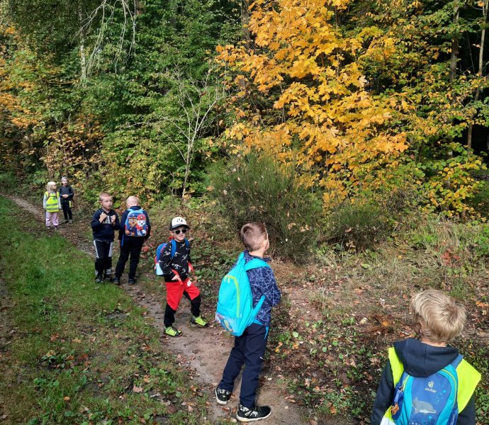 Obrázek galerie  20630