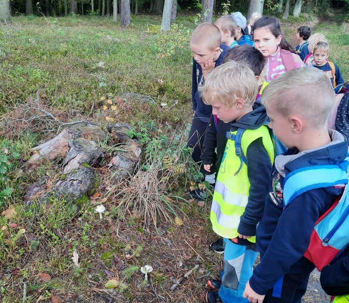 Obrázek galerie  20642