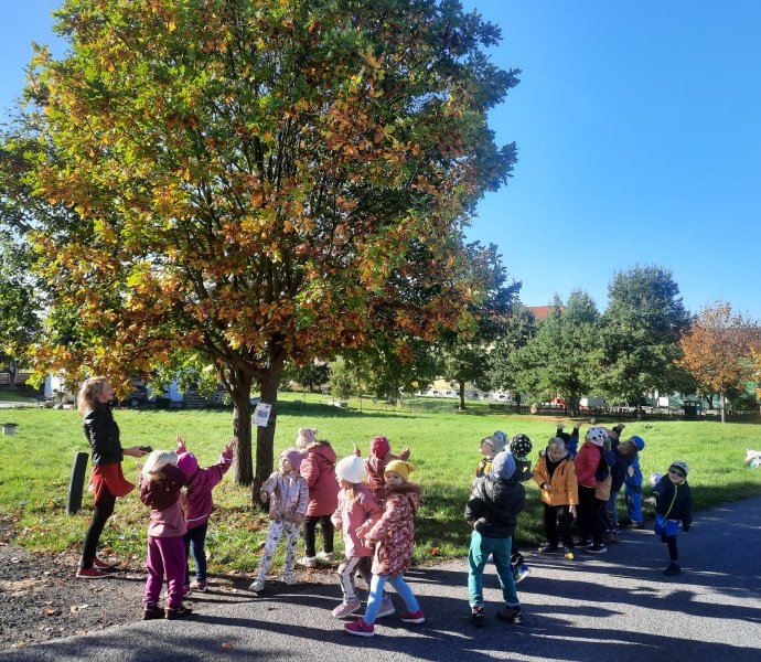 Obrázek galerie  20695