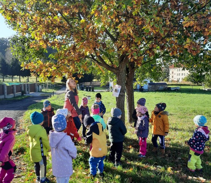 Obrázek galerie  20734