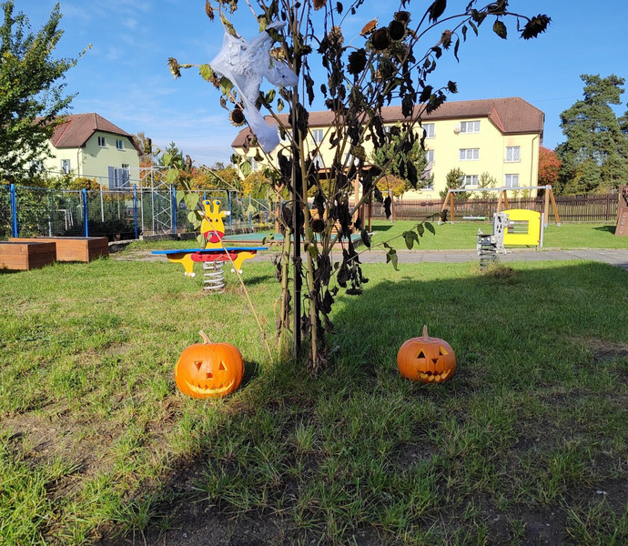 Obrázek galerie  20768