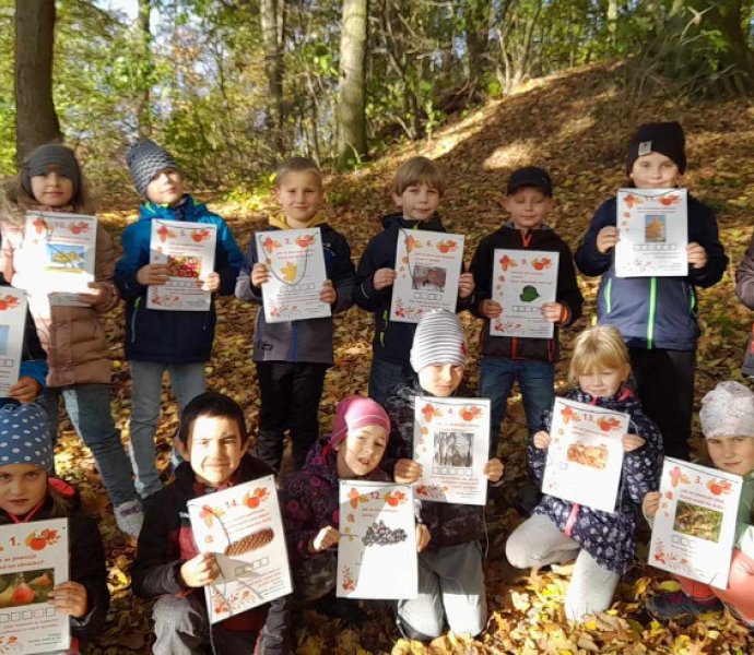 Obrázek galerie  20928