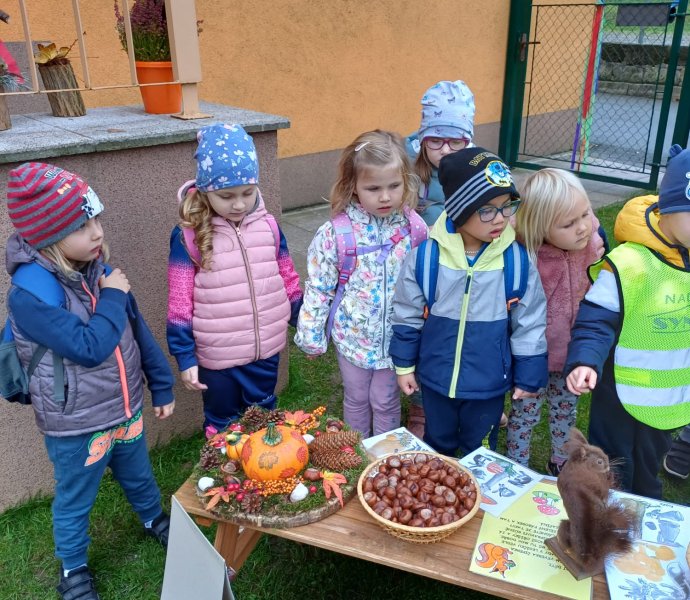 Obrázek galerie  20972