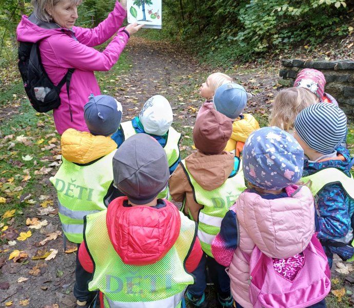 Obrázek galerie  20976