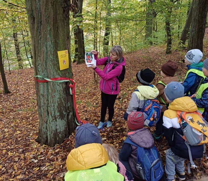 Obrázek galerie  20977