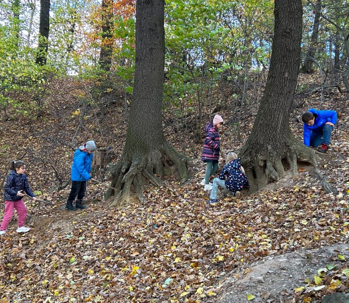 Obrázek galerie  21274