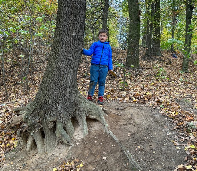 Obrázek galerie  21281