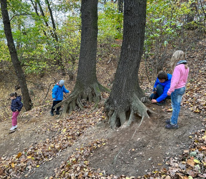 Obrázek galerie  21285