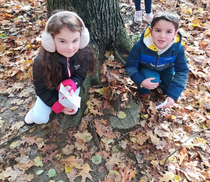 Obrázek galerie  21318