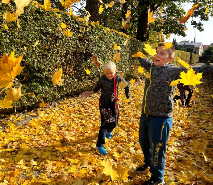 Obrázek galerie  21685