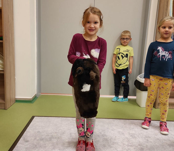 Obrázek galerie  21700