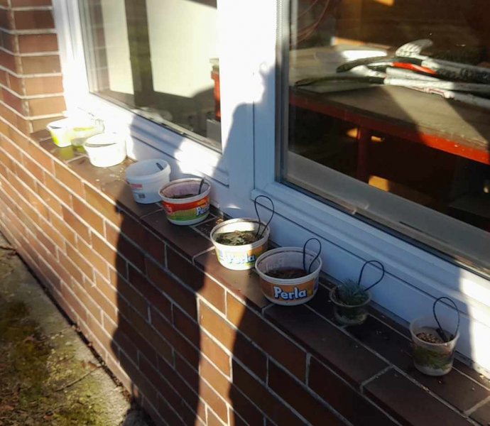 Obrázek galerie  22555