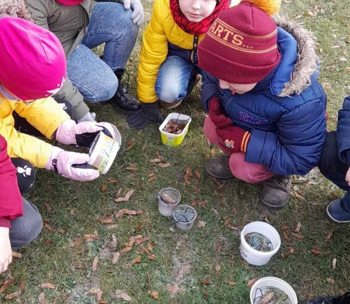 Obrázek galerie  22564