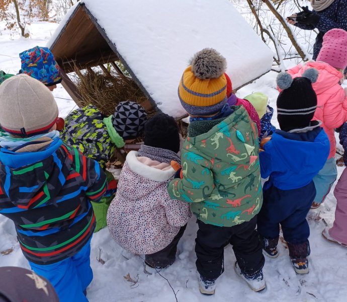 Obrázek galerie  23497