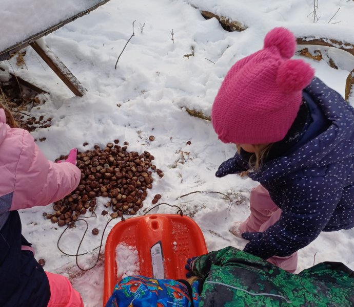 Obrázek galerie  23500