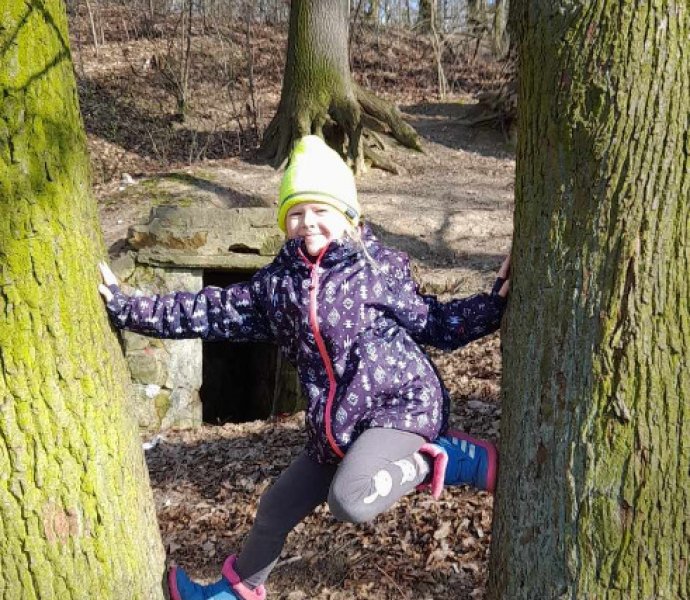 Obrázek galerie  23642