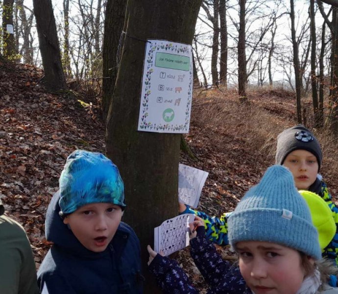 Obrázek galerie  23649