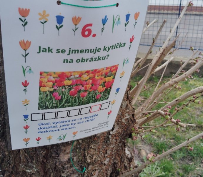 Obrázek galerie  23670