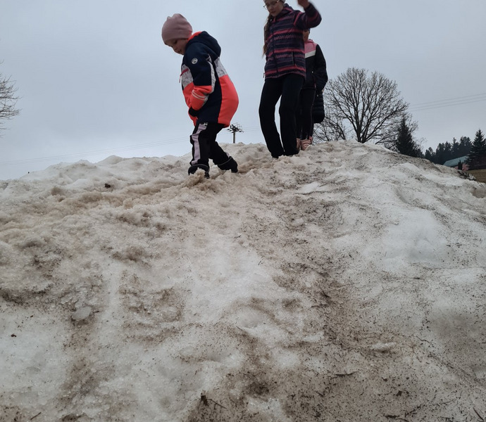 Obrázek galerie  23981