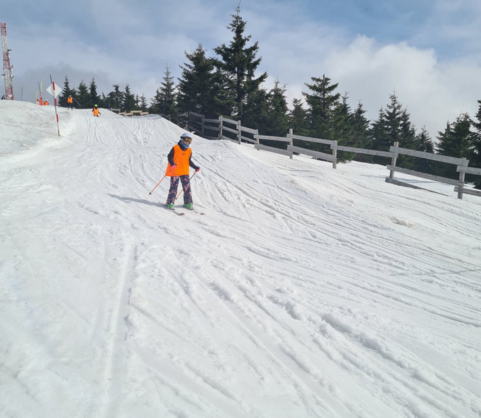 Obrázek galerie  24037