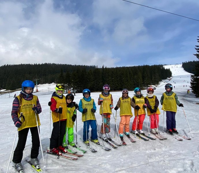 Obrázek galerie  24133