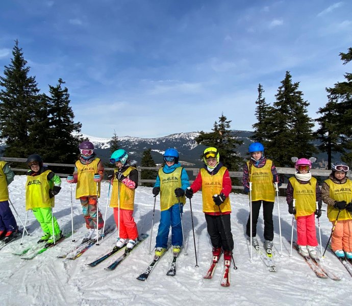 Obrázek galerie  24142