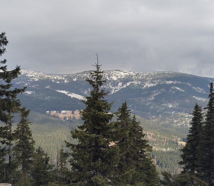 Obrázek galerie  24253